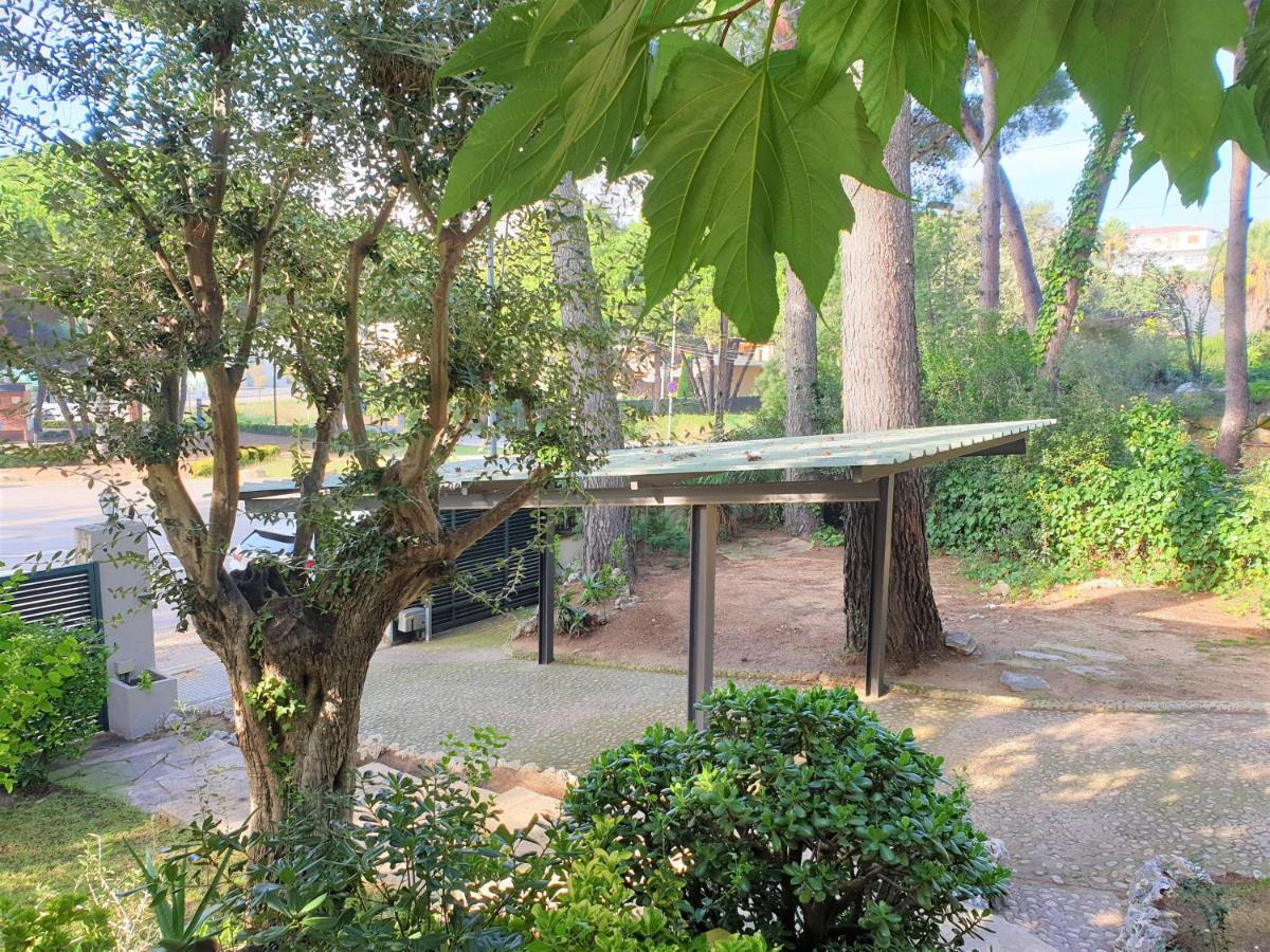 Casa Orquidea Hébergement de vacances