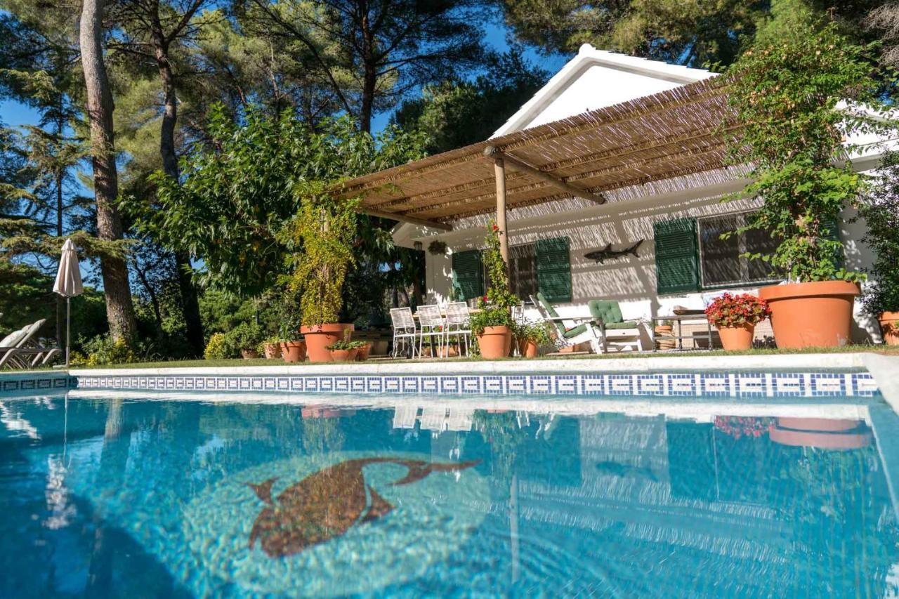 Casa Orquidea