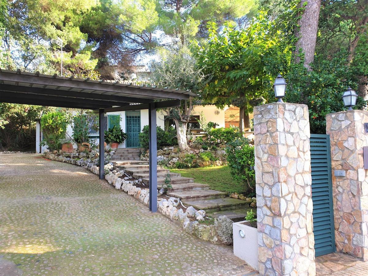 Casa Orquidea * Lloret de Mar